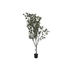 Träd Home ESPRIT Polyetylen Cement Eukalyptus 80 x 80 x 220 cm