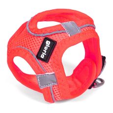 Hundsele Gloria Air Mesh Star Rosa Storlek XXS (24-26 cm)