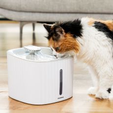 Fontän för husdjur Drinkatt InnovaGoods