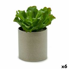 Dekorativ växt Ibergarden YC181588 20 x 25 x 20 cm (6 antal)