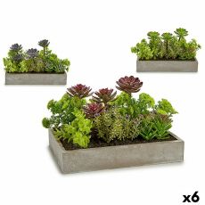 Dekorativ växt Ibergarden XD18-1220 Plast Cement Suckulent 16,5 x 20 x 28,5 cm (6 antal)
