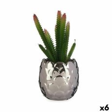 Dekorativ växt Ibergarden HY2-44 Keramik Plast Kaktus 10 x 20 x 10 cm (6 antal)