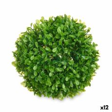 Dekorativ växt Ibergarden 552 Plast Labda 17 x 13,5 x 17 cm (12 antal)