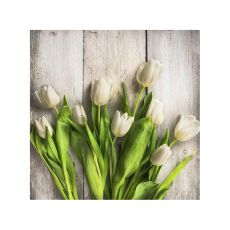 Servetter Tulpaner Vita 33x33cm