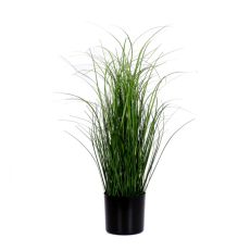 Dekorationsgräs i kruka H55 cm