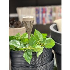 Solcellslampa Lampa Greige 43 cm Spjut Trädgård