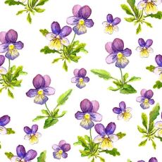 Servetter Violer 33x33 cm 20-pack