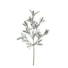 Kvist Cypress Bär 51 cm