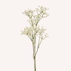 Brudslöja snittgrönt