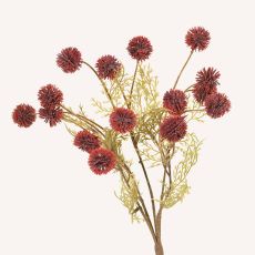 Melaleuca rosaröd snittgrönt