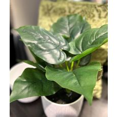 Konstgjord Växt Philodendron 35 cm