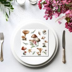 Servett Svampar 20-pack