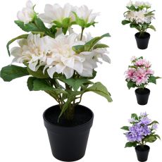 Dahlia i kruka Rosa 42 cm