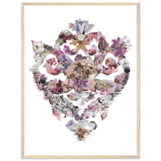 Florentine - barockblommig poster med träram