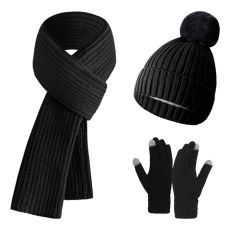 Varmt vinterset 3-delar - Mössa, halsduk & touchvantar