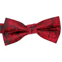 Barnfluga Paisley Röd