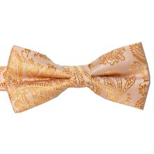 Barnfluga Paisley Guld