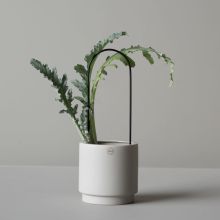 DBKD Flower Arc växtstöd svart