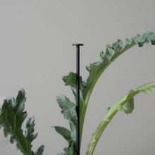 DBKD Flower stick växtstöd svart