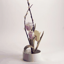 Mini ikebana kit