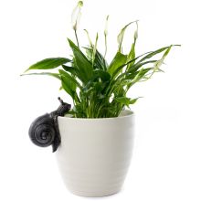 Snäckan Pot Buddy