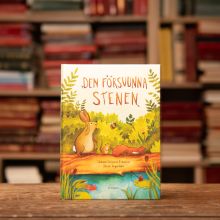 Bok - Den försvunna stenen
