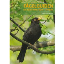Fågelguiden - lär dig känna igen 150 fåglar