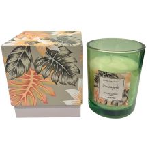 Doftljus Pineapple Glas Grönt