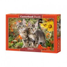 Pussel kitten buddies 1500 bitar