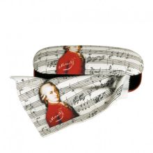 Glasögonetui mozart med putsduk