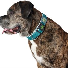 Hundhalsband Hunter Plus Tråd Turkos 11