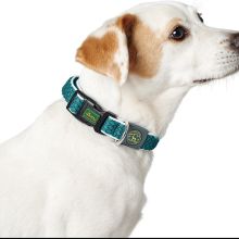 Hundhalsband Hunter Basic Tråd Blå 20