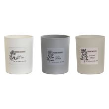 Ljus Home ESPRIT Urban 210 g (3 antal)