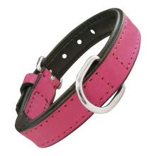 Hundhalsband Gloria Vadderad Fuchsia (30 x 1,5 cm)