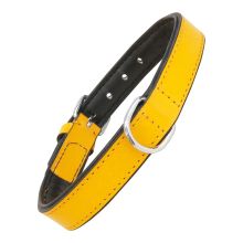 Hundhalsband Gloria Vadderad Gul (35 x 1,5 cm)