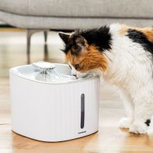 Fontän för husdjur Drinkatt InnovaGoods