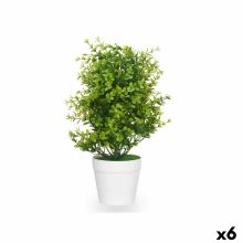 Dekorativ växt Ibergarden 548 Plast Stor (6 antal)