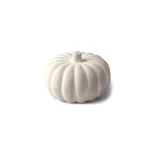 Pumpa Grå Cement 15 cm