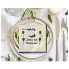 Servetter Student 33x33cm 20-pack