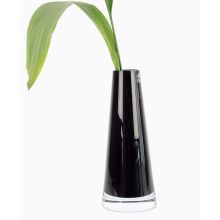 Glasvas 