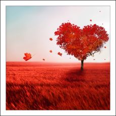 Coaster  - Red leaf tree