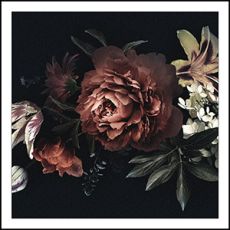 Coasters - Blushing Rose