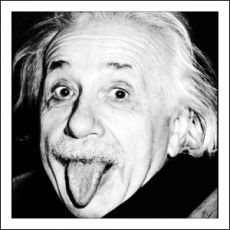 Coaster - Einstein Tongue