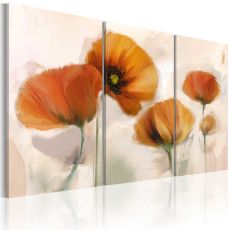 Tavla - Artistic poppies - triptych
