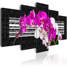Tavla - Modest orchids