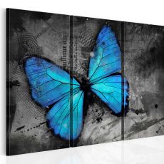 Tavla - The study of butterfly - triptych