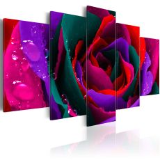 Tavla - Multicoloured rose