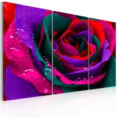 Tavla - Rainbow-färgade rose