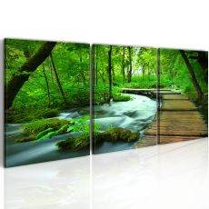 Tavla - Forest broadwalk - triptych