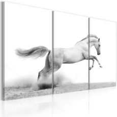 Tavla - A galloping horse
